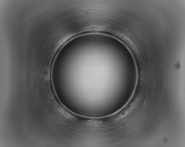 X0000100841081200806271107