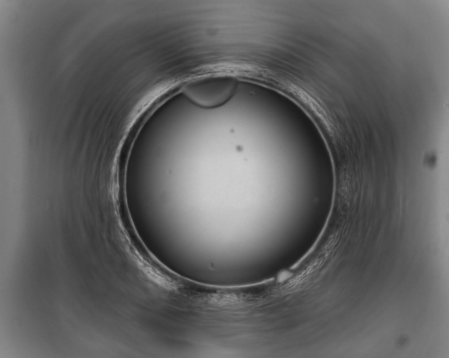 X0000100841082200806271107