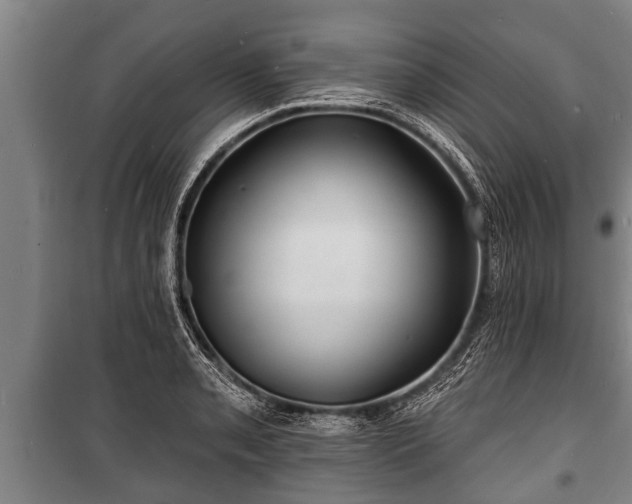 X0000100841085200806271107