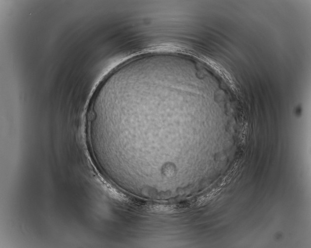 X0000100841086200806271107