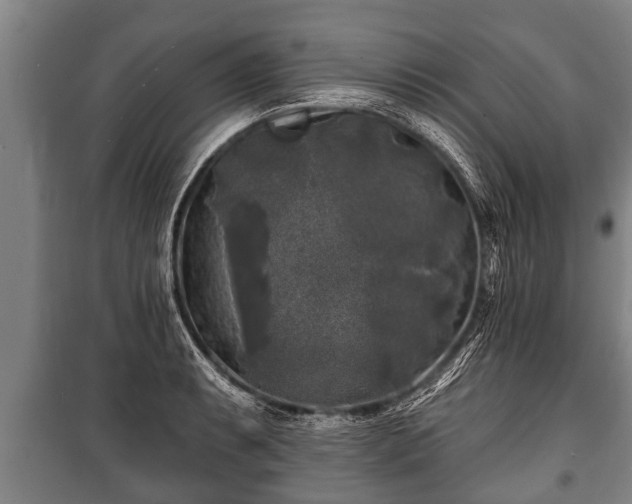 X0000100841087200806271107