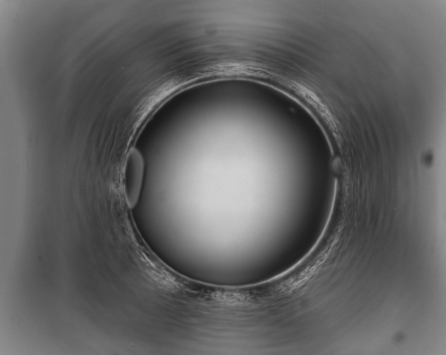 X0000100841089200806271107