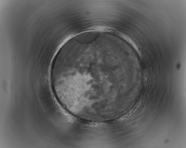 X0000100841091200806271107