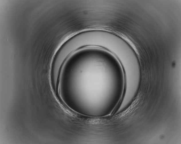 X0000100841093200806271107