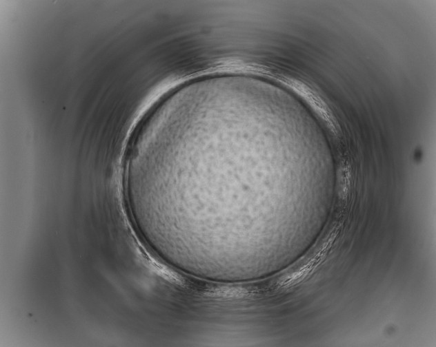 X0000100841094200806271107