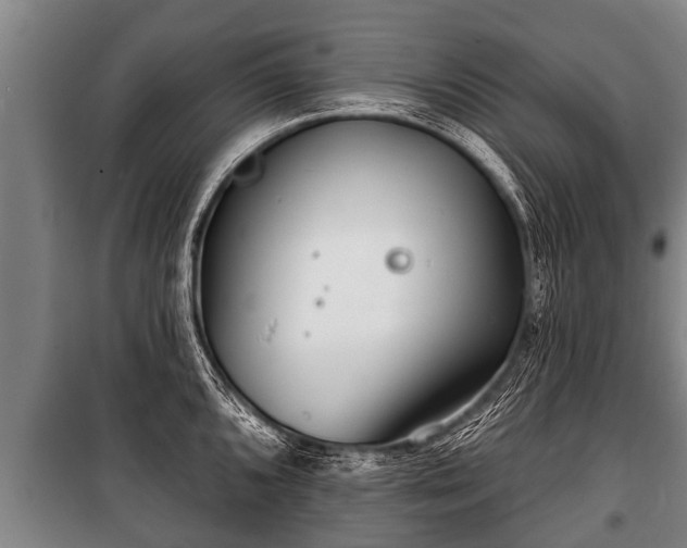 X0000100841096200806271107