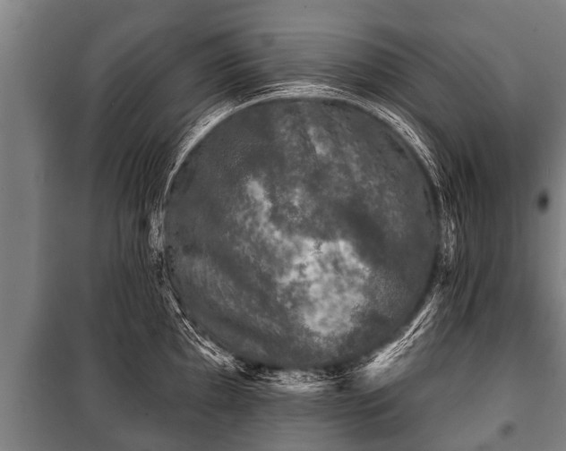 X0000100841097200806271107