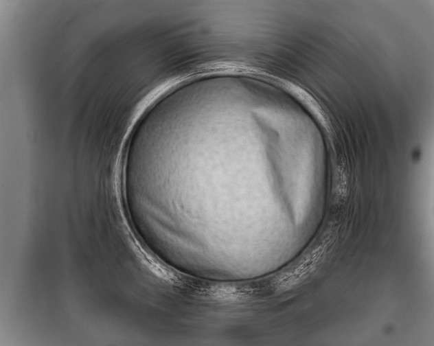 X0000100841098200806271107