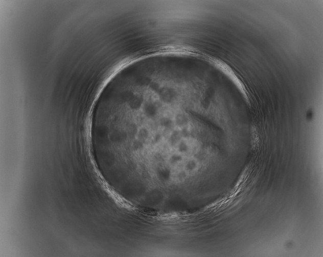 X0000100841099200806271107