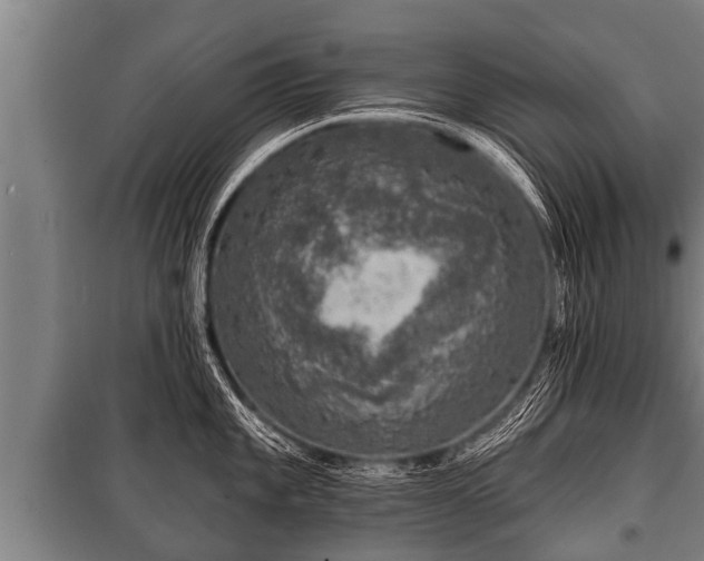 X0000100841101200806271106