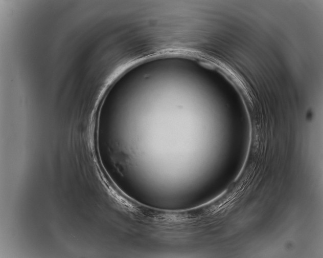 X0000100841102200806271106