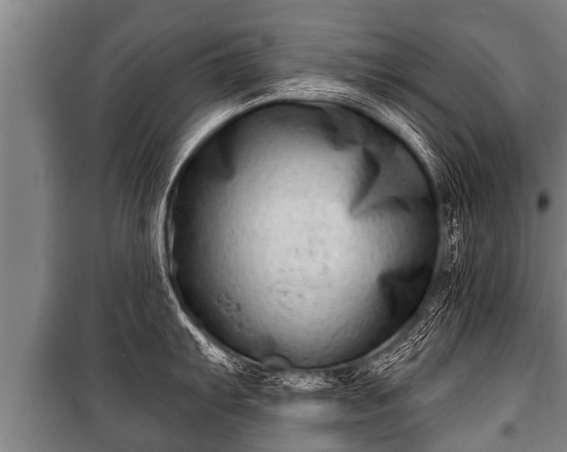 X0000100841103200806271106