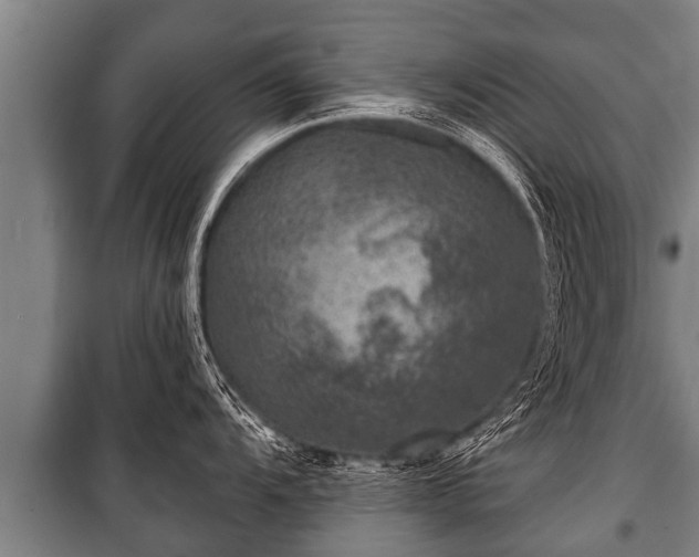 X0000100841104200806271106