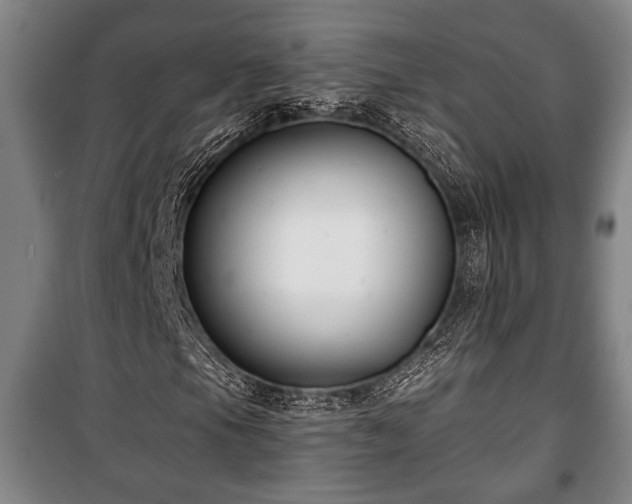 X0000100841105200806271106