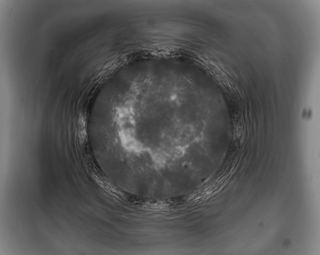 X0000100841106200806271106