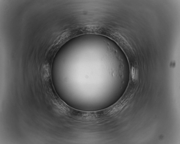 X0000100841107200806271106