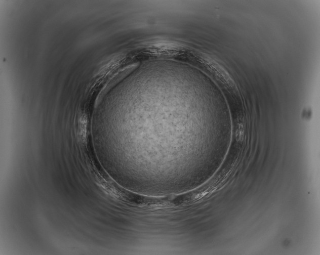 X0000100841108200806271106