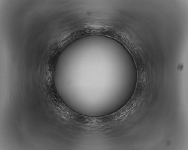 X0000100841109200806271106