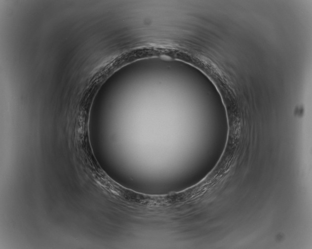 X0000100841110200806271106