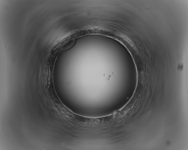 X0000100841111200806271106