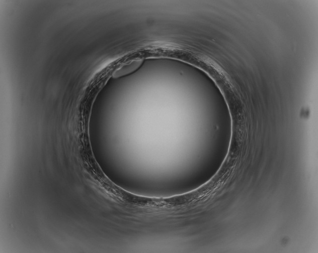 X0000100841112200806271106