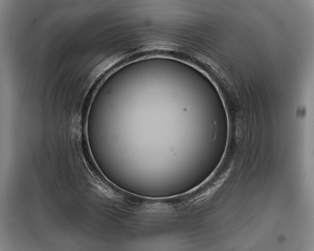 X0000100841113200806271106