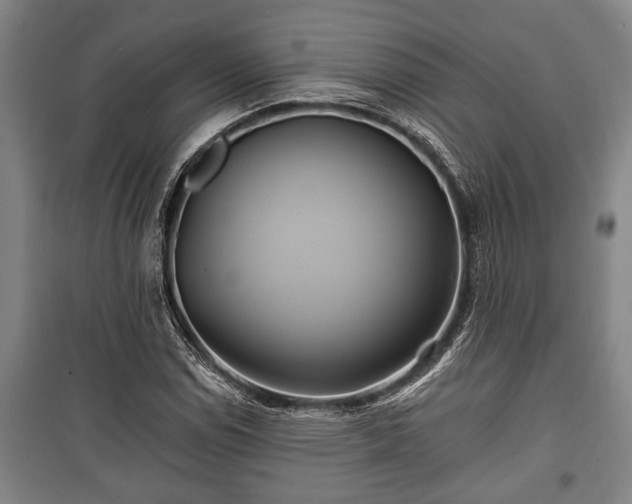 X0000100841114200806271106