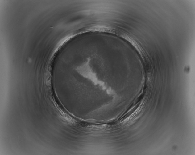 X0000100841115200806271106