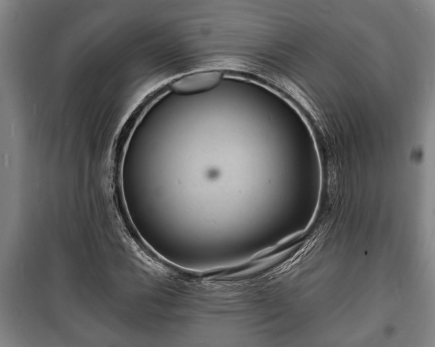 X0000100841116200806271106