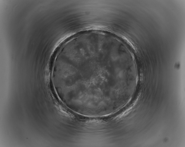 X0000100841117200806271106