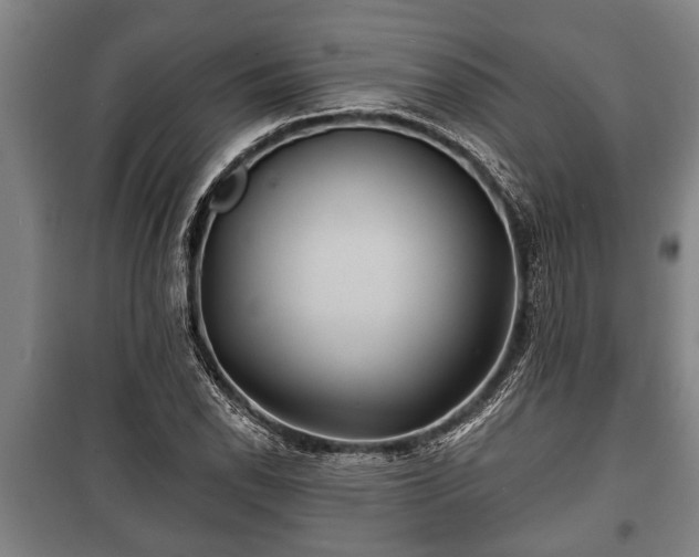 X0000100841118200806271106