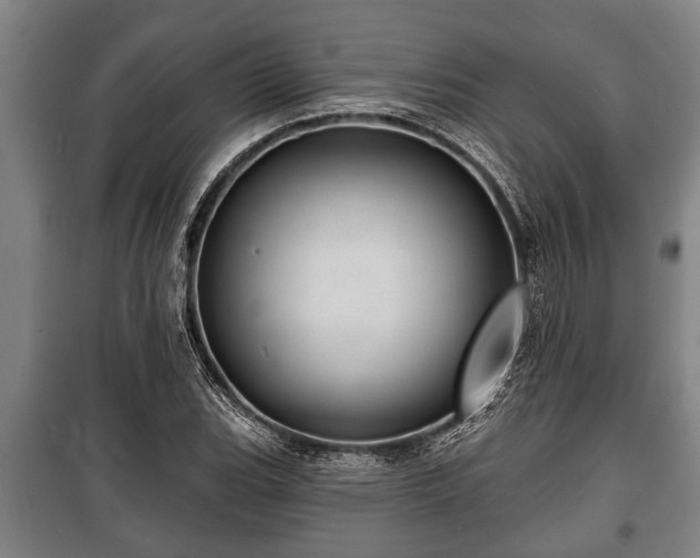 X0000100841119200806271106