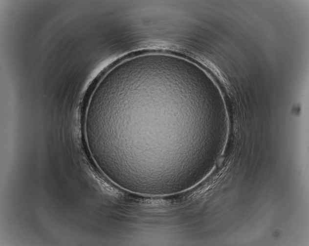 X0000100841120200806271106