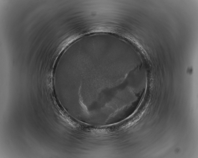 X0000100841121200806271106