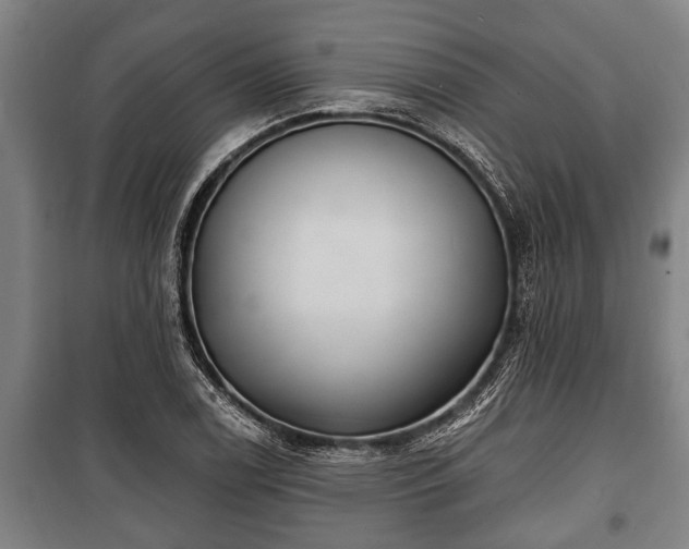 X0000100841122200806271106