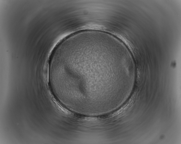 X0000100841123200806271106