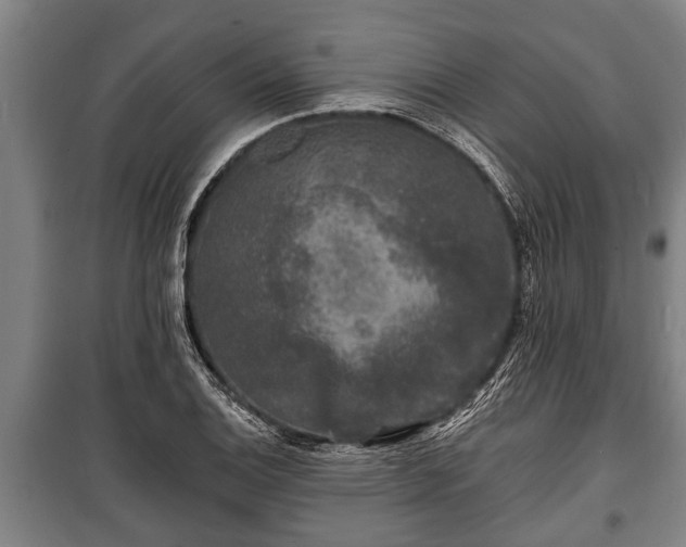 X0000100841124200806271106