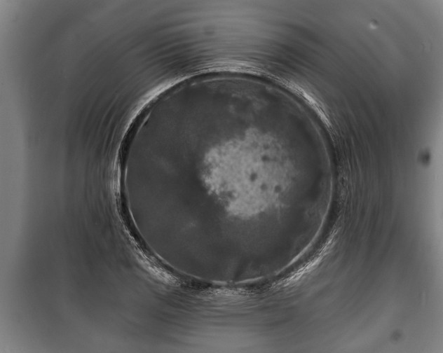 X0000100841125200806271106