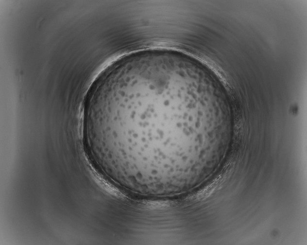 X0000100841126200806271106