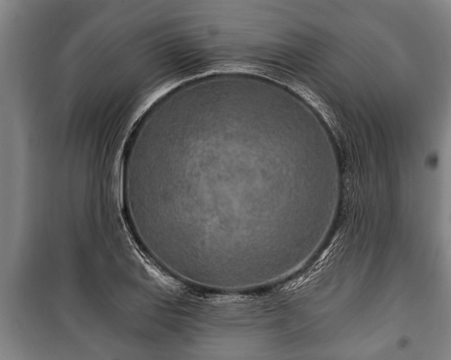 X0000100841127200806271106