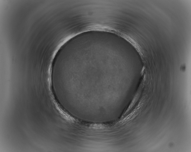 X0000100841128200806271106