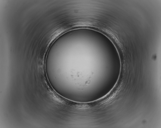 X0000100841129200806271106