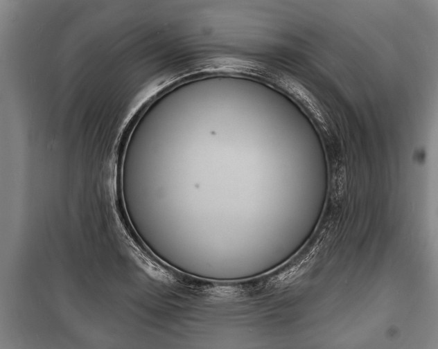 X0000100841130200806271106