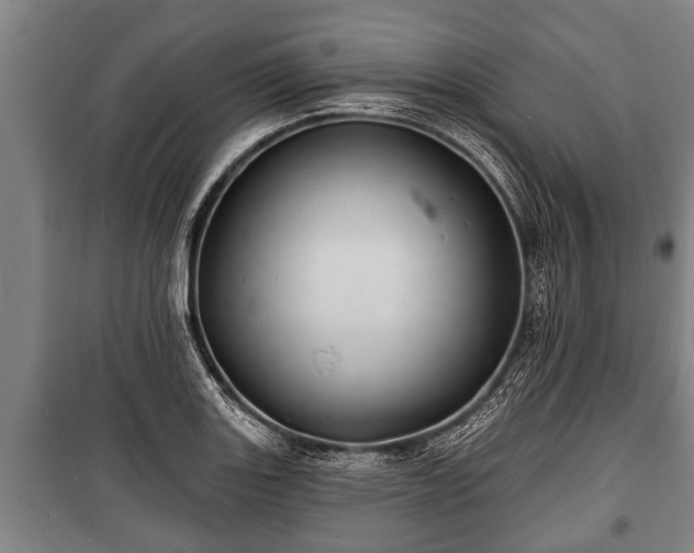 X0000100841131200806271106