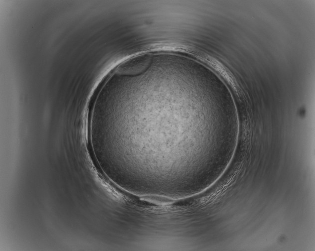 X0000100841132200806271106