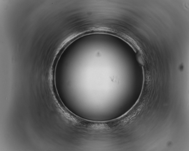 X0000100841133200806271106