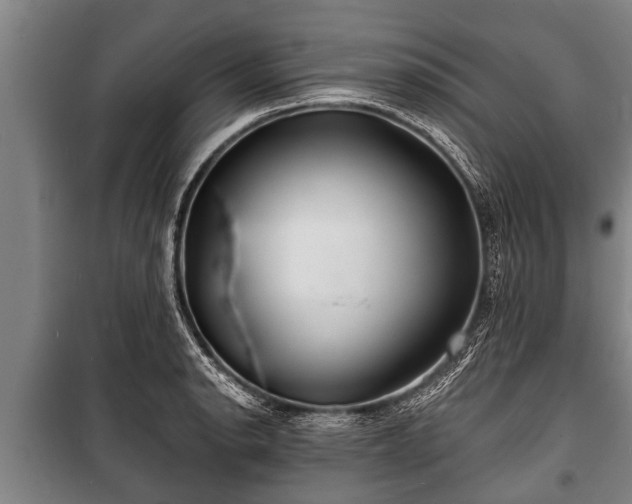 X0000100841134200806271106