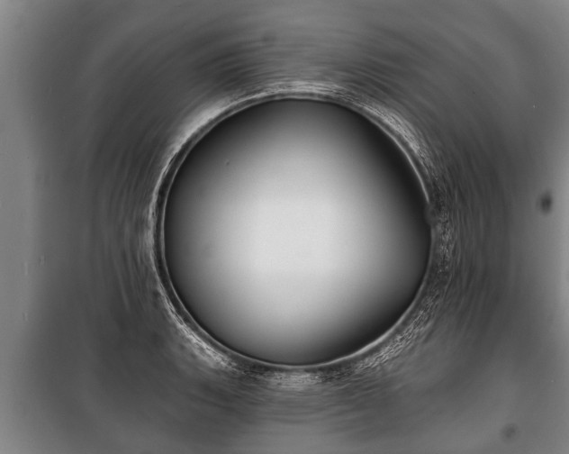 X0000100841135200806271106