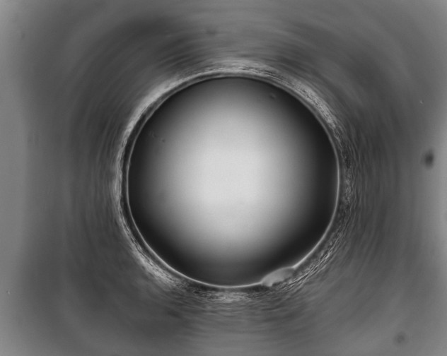 X0000100841136200806271106