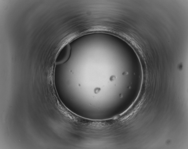 X0000100841137200806271106